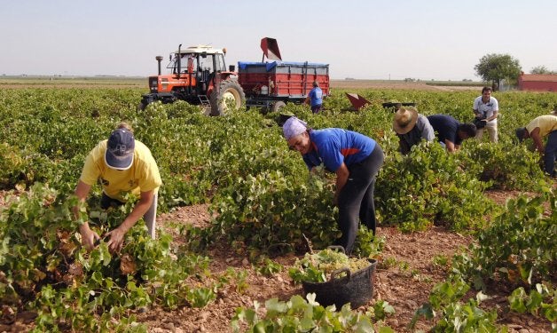 La Junta abonará el 20 de diciembre el 25% de las ayudas de la PAC para el campo de CLM La Junta abonará el 20 de diciembre el 25% de las ayudas de la PAC para el campo de CLM