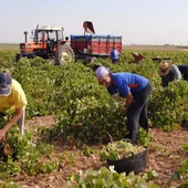 El campo de CLM recibirá 170 millones de euros de las ayudas de la PAC El campo de CLM recibirá 170 millones de euros de las ayudas de la PAC