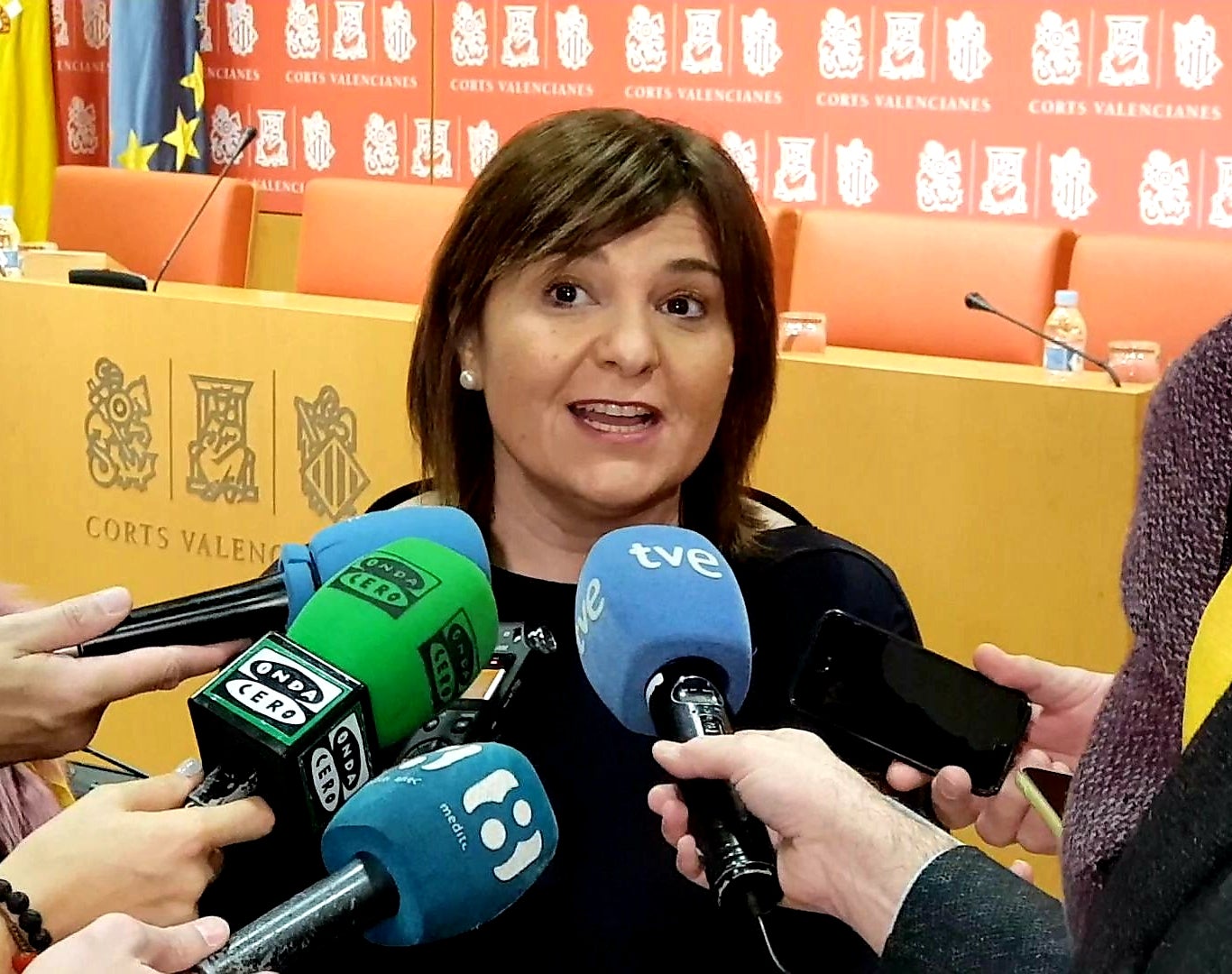 Isabel Bonig renuncia a la reelección y allana el camino a Carlos Mazón para ser su sucesor Isabel Bonig renuncia a la reelección y allana el camino a Carlos Mazón para ser su sucesor