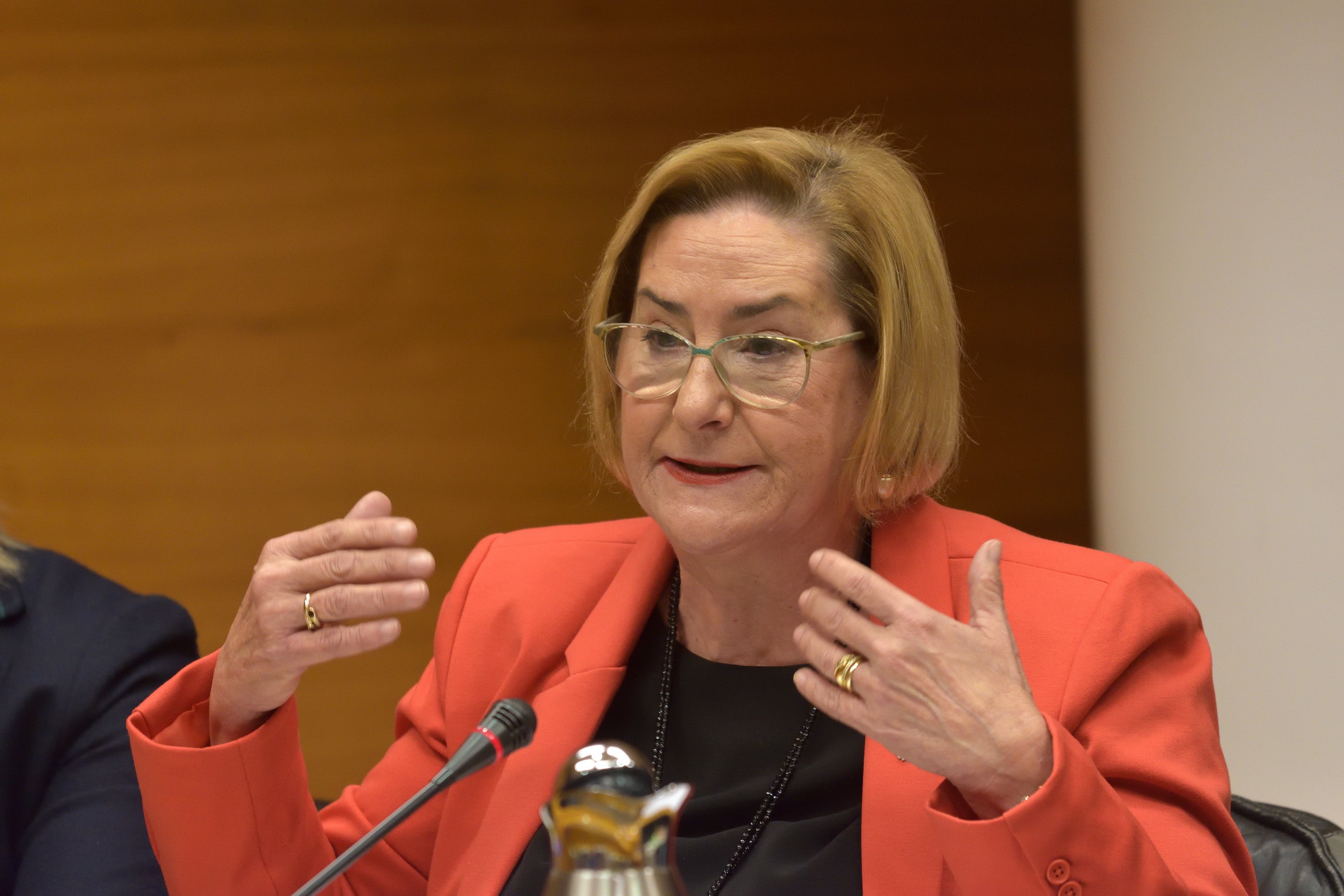 Gisbert: "Nos preocupa la juventud, el machismo no desaparece" Gisbert: "Nos preocupa la juventud, el machismo no desaparece"