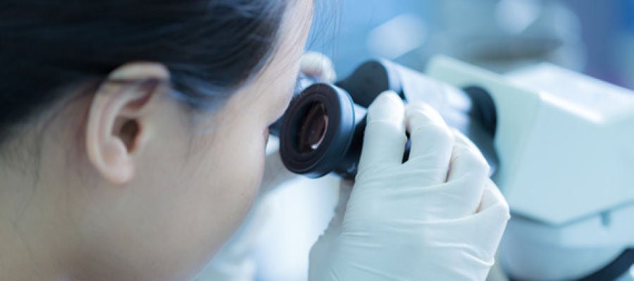 Novedoso unico sin precedentes los cientificos venden su trabajo mejor que las cientificas Novedoso unico sin precedentes los cientificos venden su trabajo mejor que las cientificas