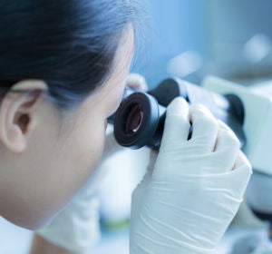 Novedoso unico sin precedentes los cientificos venden su trabajo mejor que las cientificas Novedoso unico sin precedentes los cientificos venden su trabajo mejor que las cientificas
