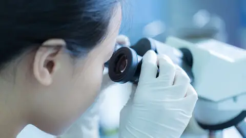 Novedoso unico sin precedentes los cientificos venden su trabajo mejor que las cientificas Novedoso unico sin precedentes los cientificos venden su trabajo mejor que las cientificas