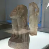 VENUS DE SALAR VENUS DE SALAR