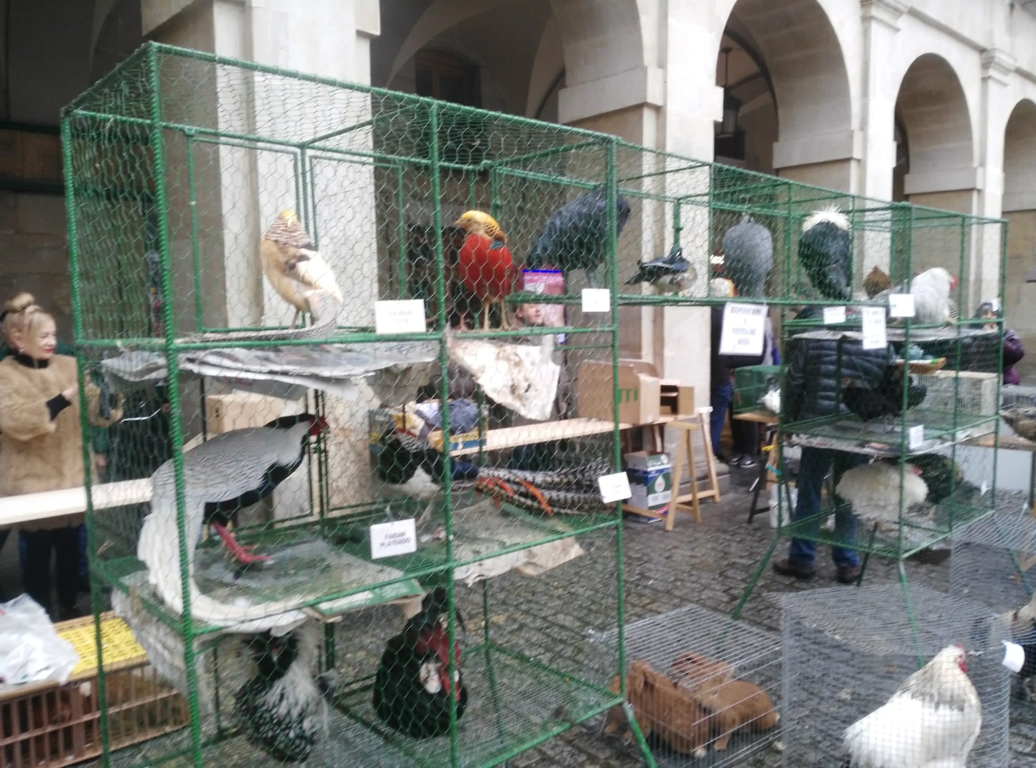 Más de uno Álava 19/12/2019 Más de uno Álava 19/12/2019