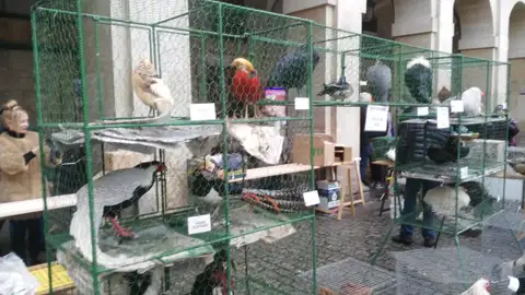 Mercado de Navidad en la Plaza de España de Vitoria Visitamos el mercado navideño
