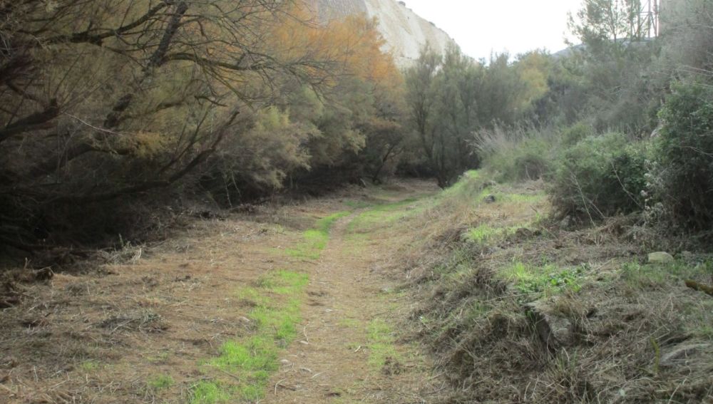 Zona del pantano de Elda.