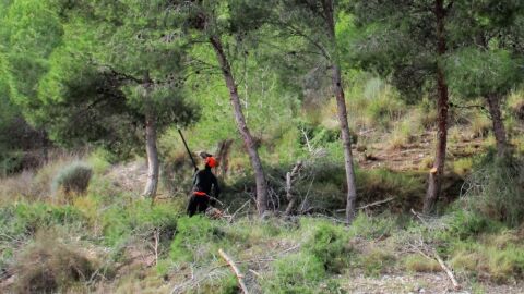 Trabajos de desbroce en la zona del pantano de Elda. Trabajos de desbroce en la zona del pantano de Elda.