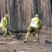 Incendios en Australia Incendios en Australia