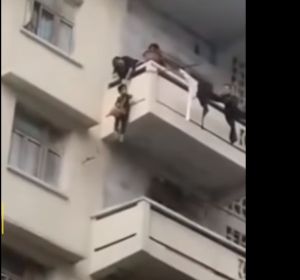 Descuelga a su nieto por un quinto piso para rescatar a su perro. Descuelga a su nieto por un quinto piso para rescatar a su perro.