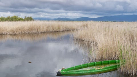 Parque Nacional de Las Tablas de Daimiel