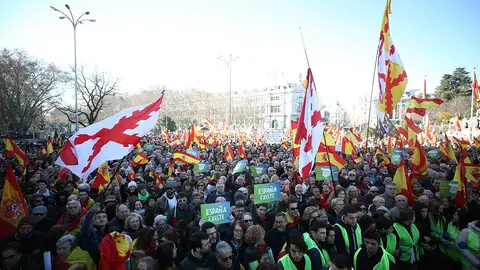 Asistentes a la concentración de Vox en Madrid Asistentes a la concentración de Vox en Madrid