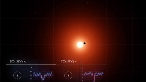 Wolf Cukier, el adolescente que ha descubierto un planeta en su tercer d&iacute;a de pr&aacute;cticas en la NASA 