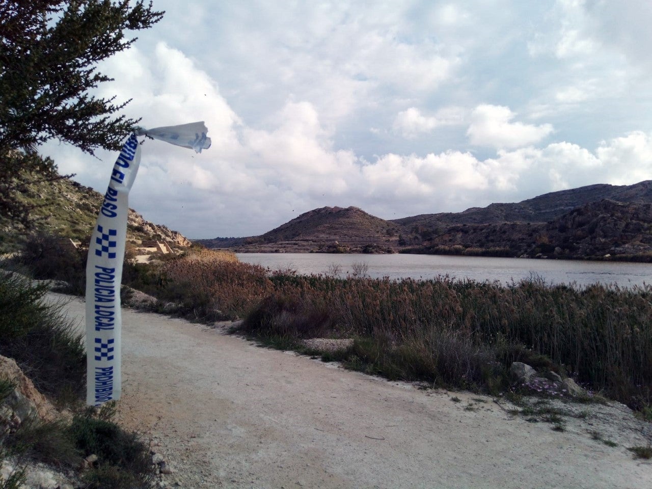 Amigos de los Humedales del Sur de Alicante pide al Ayuntamiento de Elche que la Transilicitana no discurra por el Pantano de Elche ni por las dunas de El Altet Amigos de los Humedales del Sur de Alicante pide al Ayuntamiento de Elche que la Transilicitana no discurra por el Pantano de Elche ni por las dunas de El Altet