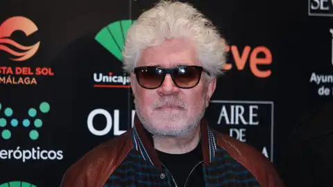 Pedro Almodóvar puede ganar su tercer Oscar con "Dolor y Gloria" Pedro Almodóvar puede ganar su tercer Oscar con "Dolor y Gloria"