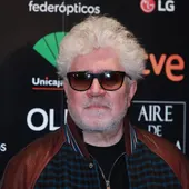 Pedro Almodóvar puede ganar su tercer Oscar con "Dolor y Gloria" Pedro Almodóvar puede ganar su tercer Oscar con "Dolor y Gloria"