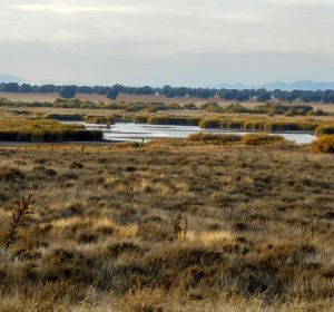 La CHG confirma dos focos de incendios de turba en el Guadiana La CHG confirma dos focos de incendios de turba en el Guadiana
