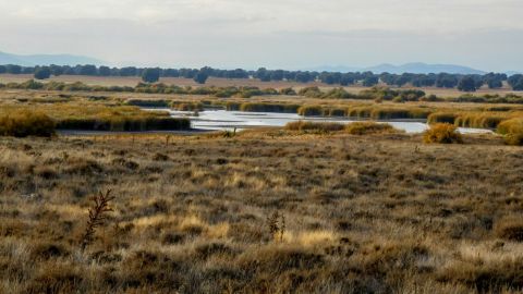 La CHG confirma dos focos de incendios de turba en el Guadiana