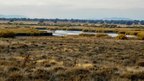 La CHG confirma dos focos de incendios de turba en el Guadiana La CHG confirma dos focos de incendios de turba en el Guadiana