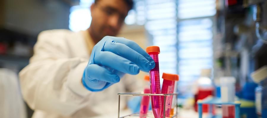El equipo de Massagué abre una vía de tratamiento contra la metástasis El equipo de Massagué abre una vía de tratamiento contra la metástasis