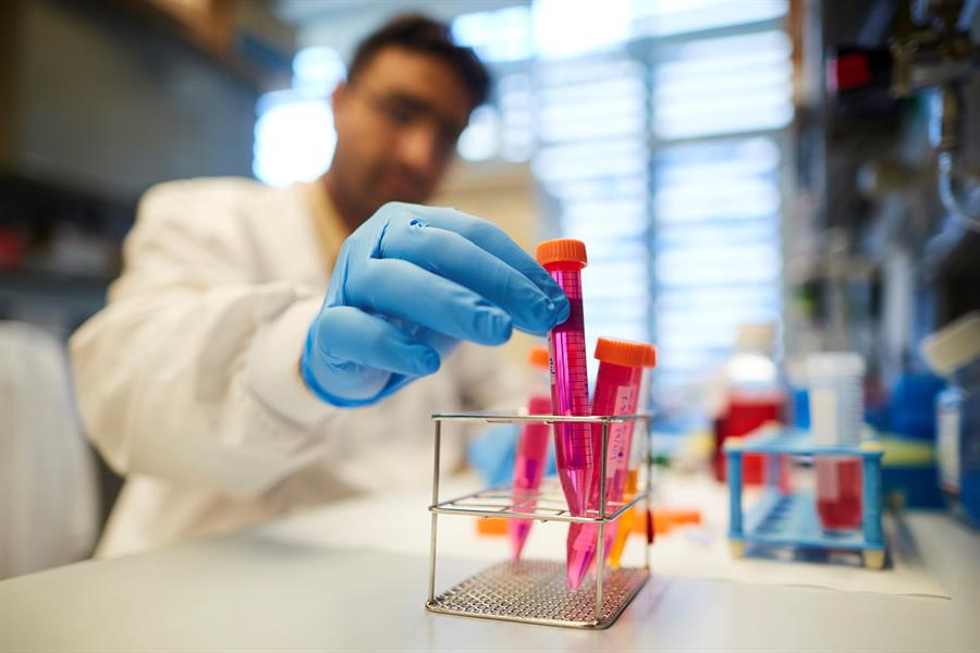 El equipo liderado por Joan Massagué abre una posible vía de tratamiento contra la metástasis El equipo liderado por Joan Massagué abre una posible vía de tratamiento contra la metástasis