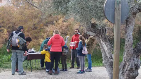 Actividad en el Clot de Galvany de Elche. Actividad en el Clot de Galvany de Elche.