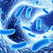 El 70% de los españoles que toman probióticos mejoran su salud intestinal El 70% de los españoles que toman probióticos mejoran su salud intestinal