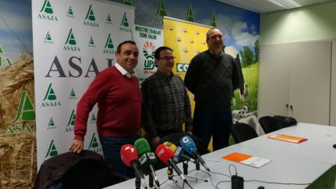 Palencia