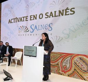 SALNES SALNES