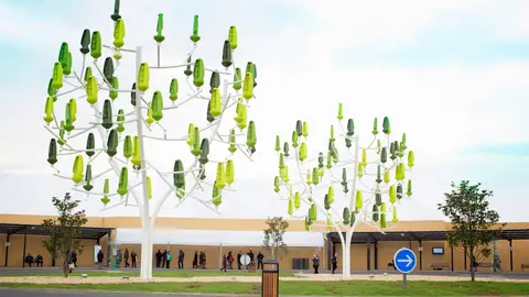 Arboles de viento Arboles de viento