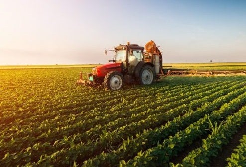 La Brujula de Extremadura La Brujula de Extremadura