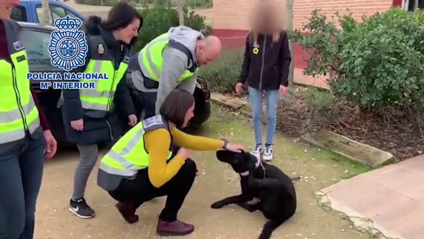 Primeras im&aacute;genes de la perra Pocahontas tras ser rescatada por la Polic&iacute;a de la casa del entrenador
