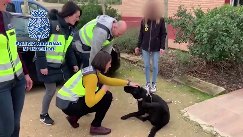 Primeras imágenes de la perra Pocahontas tras ser rescatada por la Policía Primeras imágenes de la perra Pocahontas tras ser rescatada por la Policía