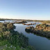 Parque periurbano de La Algaida, los Toruños Parque periurbano de La Algaida, los Toruños