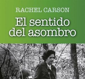 El sentido del asombro El sentido del asombro
