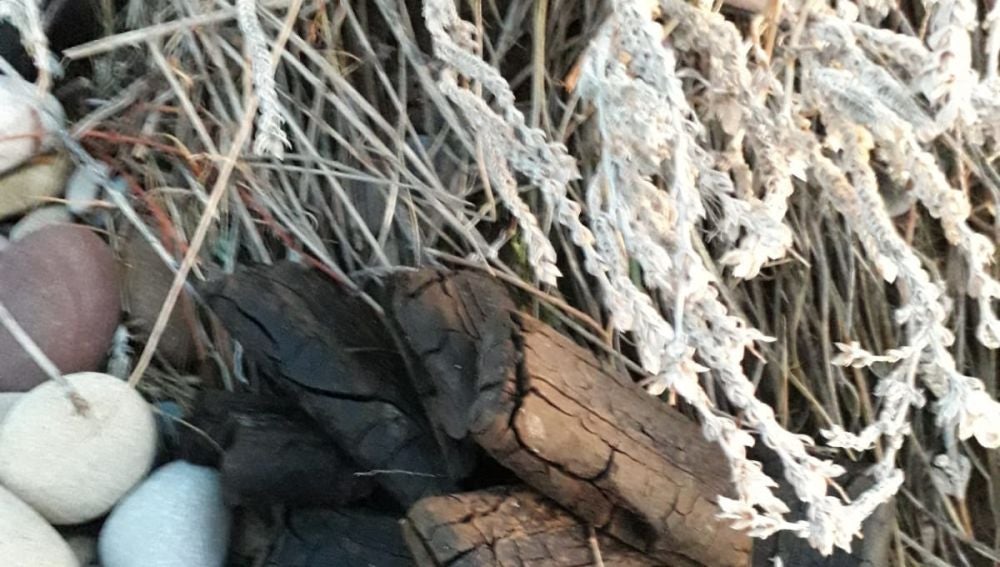 Imagen de la droga encontrada en la playa de Moncofa.