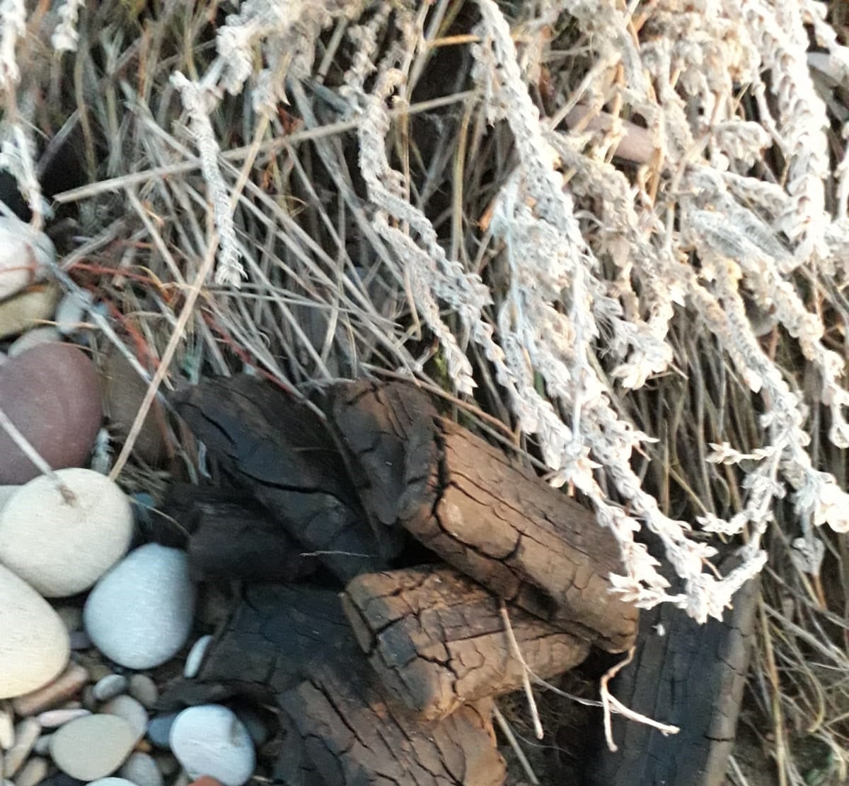 El temporal arrastra hasta la playa de Moncofa 26 pastillas de hachís El temporal arrastra hasta la playa de Moncofa 26 pastillas de hachís