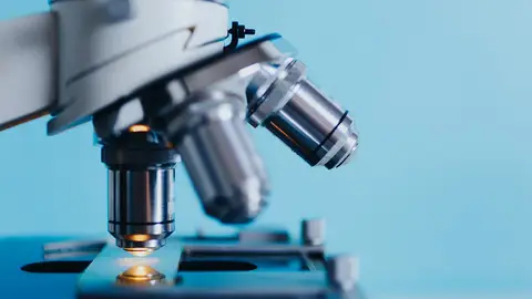 Microscopio Microscopio