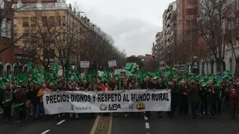 Manifestación Palencia 30/01/2020 Palencia