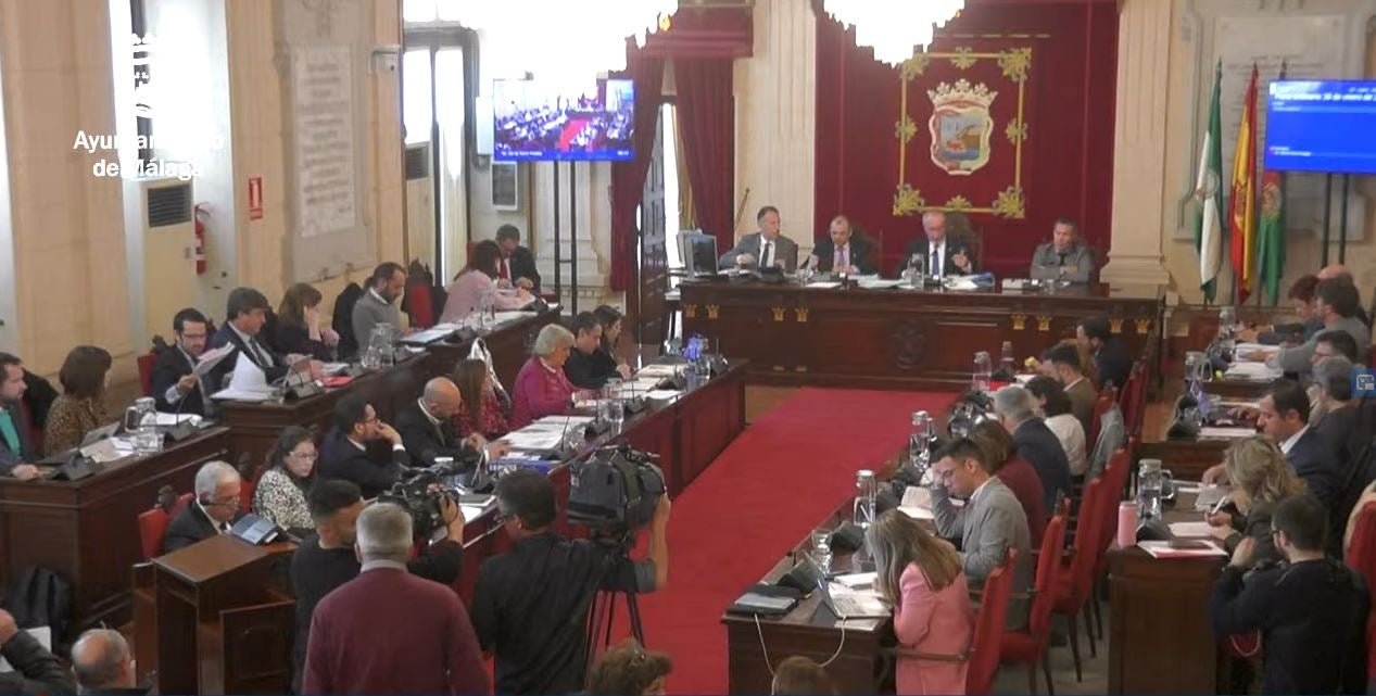 El pleno aprueba solicitar al Gobierno la declaración de zona catastrófica de Campanillas El pleno aprueba solicitar al Gobierno la declaración de zona catastrófica de Campanillas