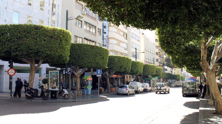 Los árboles, una solución sostenible para el centro de la ciudad Los árboles, una solución sostenible para el centro de la ciudad