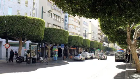 Paseo de Almería Paseo de Almería