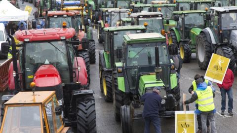Tractorada organizada por los agricultores valencianos.