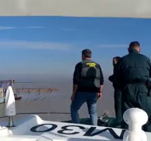 Pesca ilegal en el Guadalquivir Pesca ilegal en el Guadalquivir