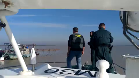 Pesca ilegal en el Guadalquivir Pesca ilegal en el Guadalquivir