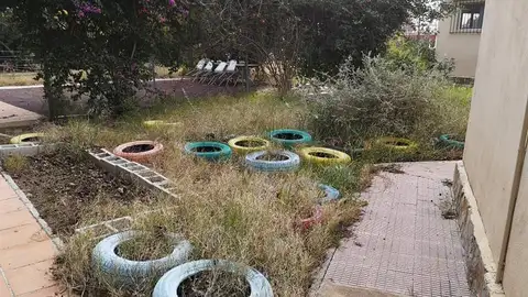 Zona exterior sin mantenimiento del colegio Virgen de la Luz de Elche. Zona exterior sin mantenimiento del colegio Virgen de la Luz de Elche.