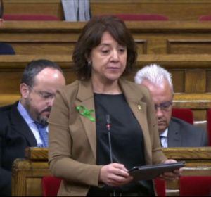 Anna Erra. alcaldesa de Vic Anna Erra. alcaldesa de Vic