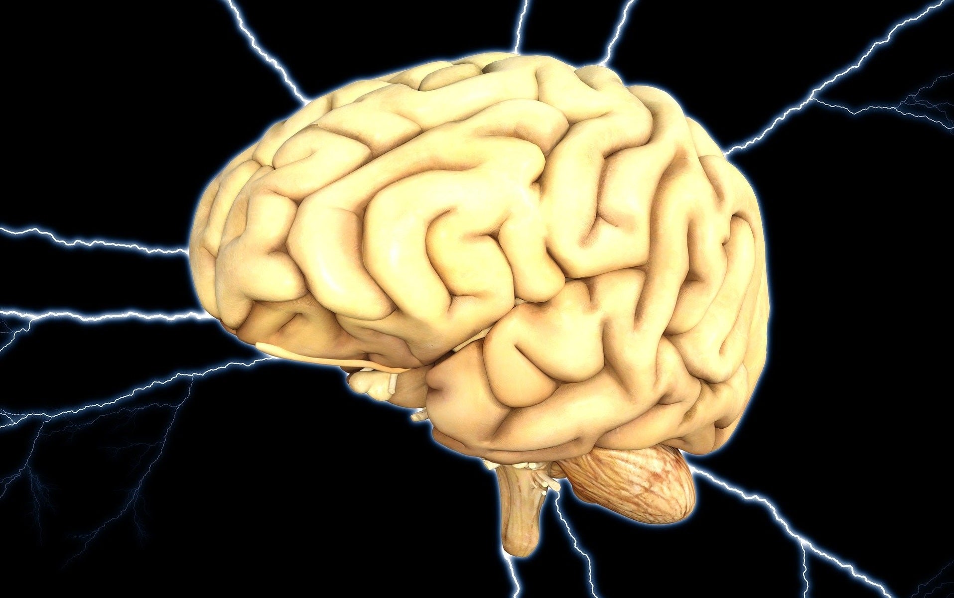 Hallazgo científico, la conciencia sobrevive a la muerte cerebral Hallazgo científico, la conciencia sobrevive a la muerte cerebral