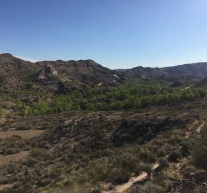 Los Aljezares de Aspe Los Aljezares de Aspe
