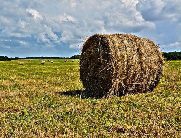 Onda Agraria (11/09/2024) Onda Agraria (11/09/2024)